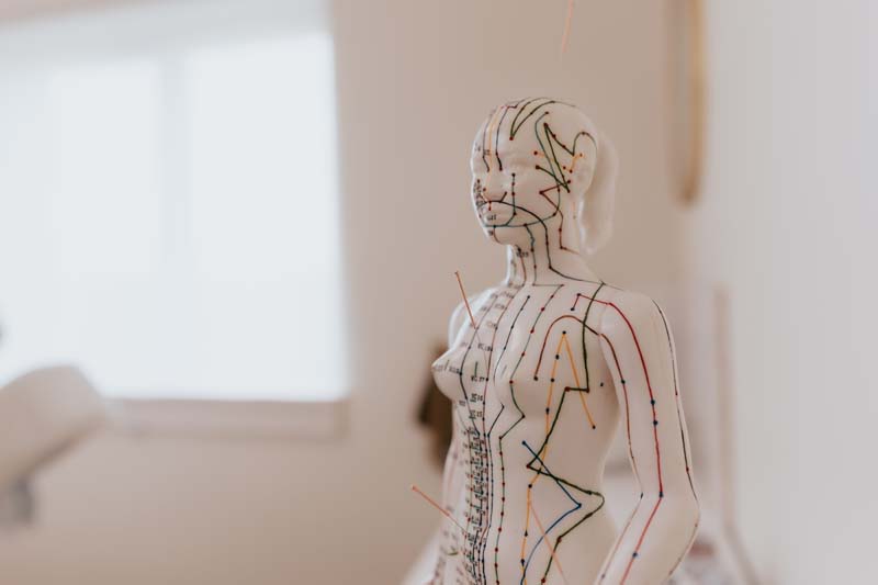 L’acupuncture est une pratique issue de la médecine traditionnelle chinoise, utilisée depuis des milliers d’années pour favoriser l’équilibre et le bien-être du corps.